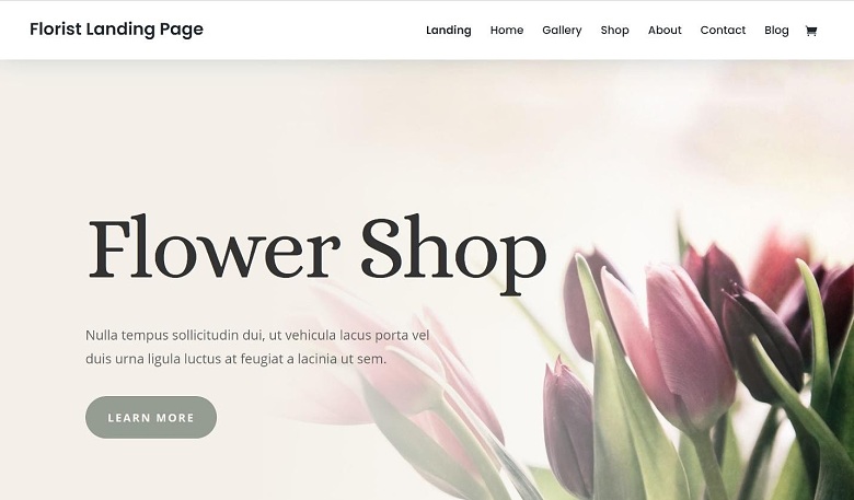 Elegant Themes Divi Florist Landing Page.