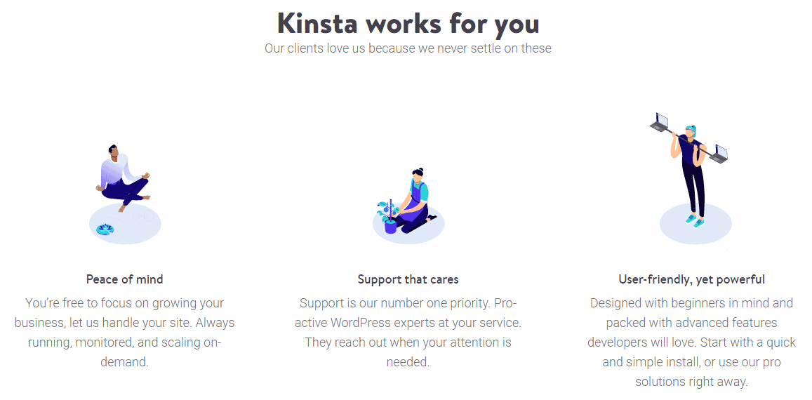 Screen capture of Kinsta feature detail panel