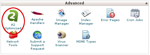 A detail screen from A2 Hosting's account dashboard