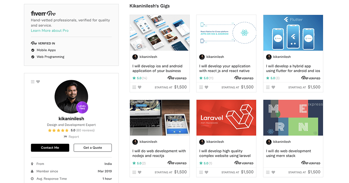 Kikaninilesh - web developer on Fiverr