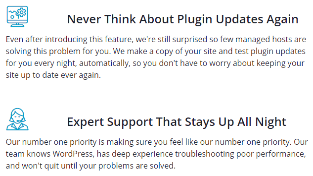 description-of-liquid-web's-plugin-manager-and-support-service