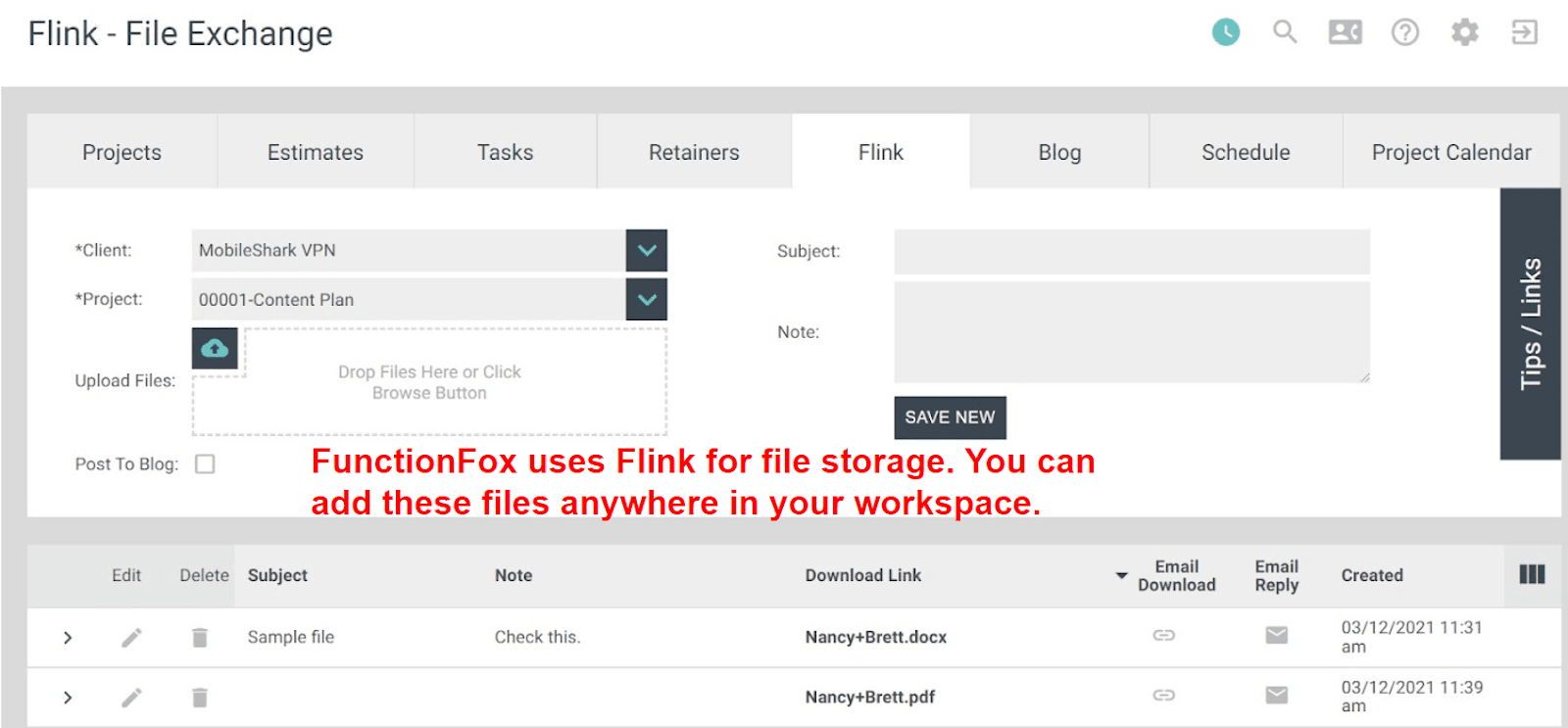 functionfox-sample-site-flink-file-exchange
