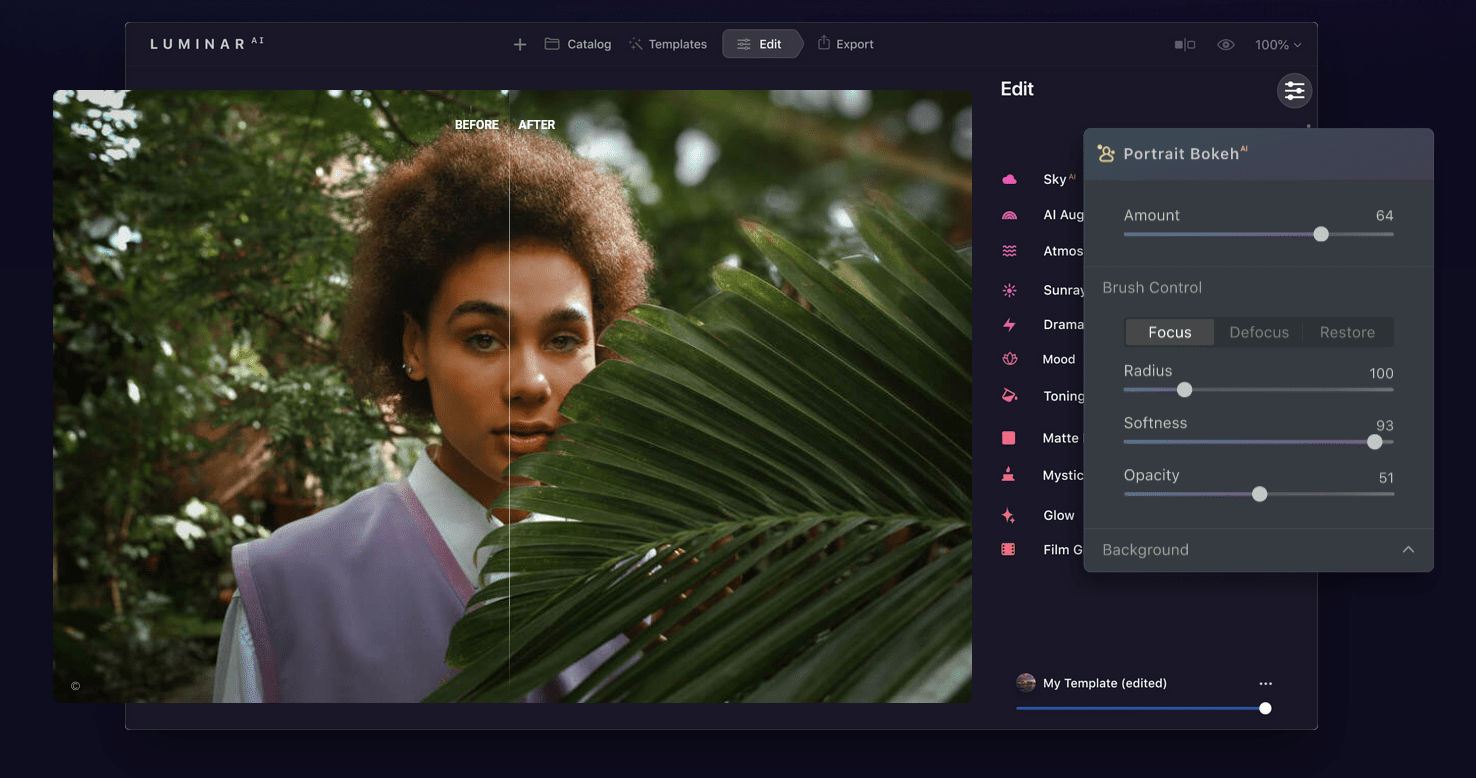a-snippet-of-luminar-ai's-interface