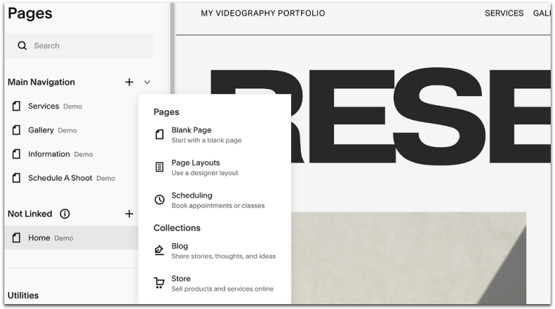 Squarespace's customization settings.