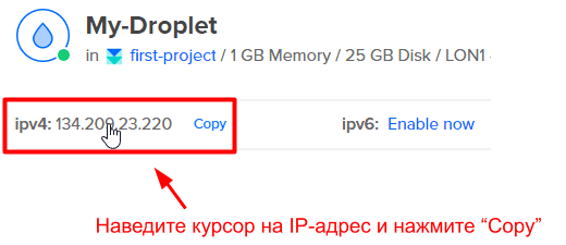 Copy of Copy for Translation_ How to Set Up a VPS Server With DigitalOcean __IMAGES__ (18)