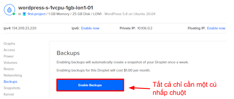 Copy of Copy for Translation_ How to Set Up a VPS Server With DigitalOcean __IMAGES__ (23)
