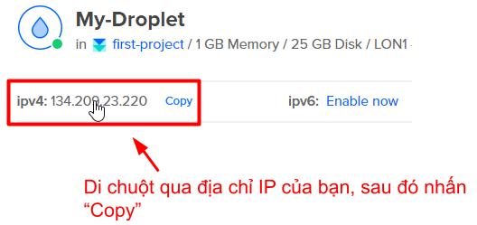 Copy of Copy for Translation_ How to Set Up a VPS Server With DigitalOcean __IMAGES__ (26)
