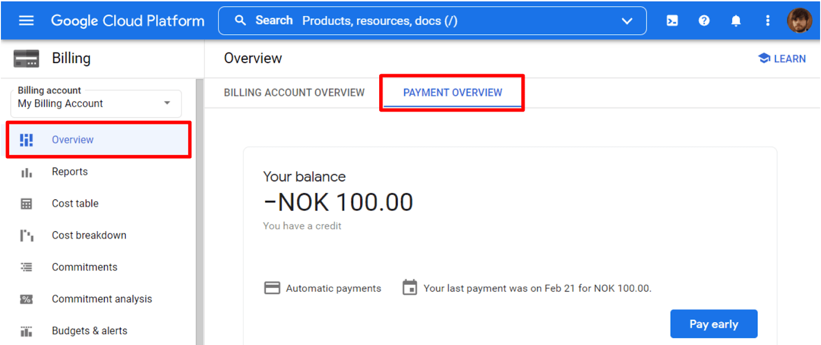Google Cloud payment overview page