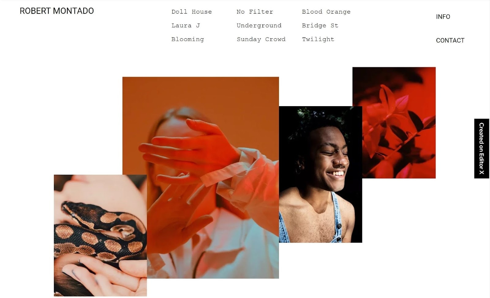 Editor X Photography Portfolio template