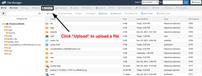 cPanel File Manager - upload a file