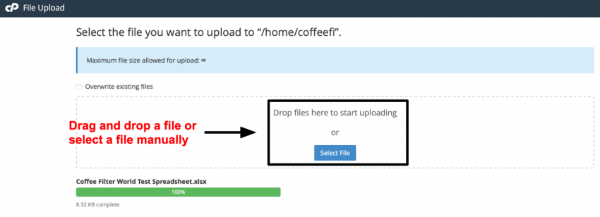 cPanel File Upload