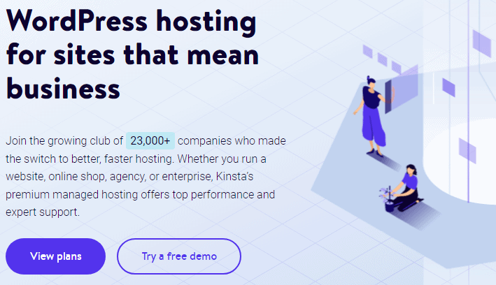 Description of Kinsta's features