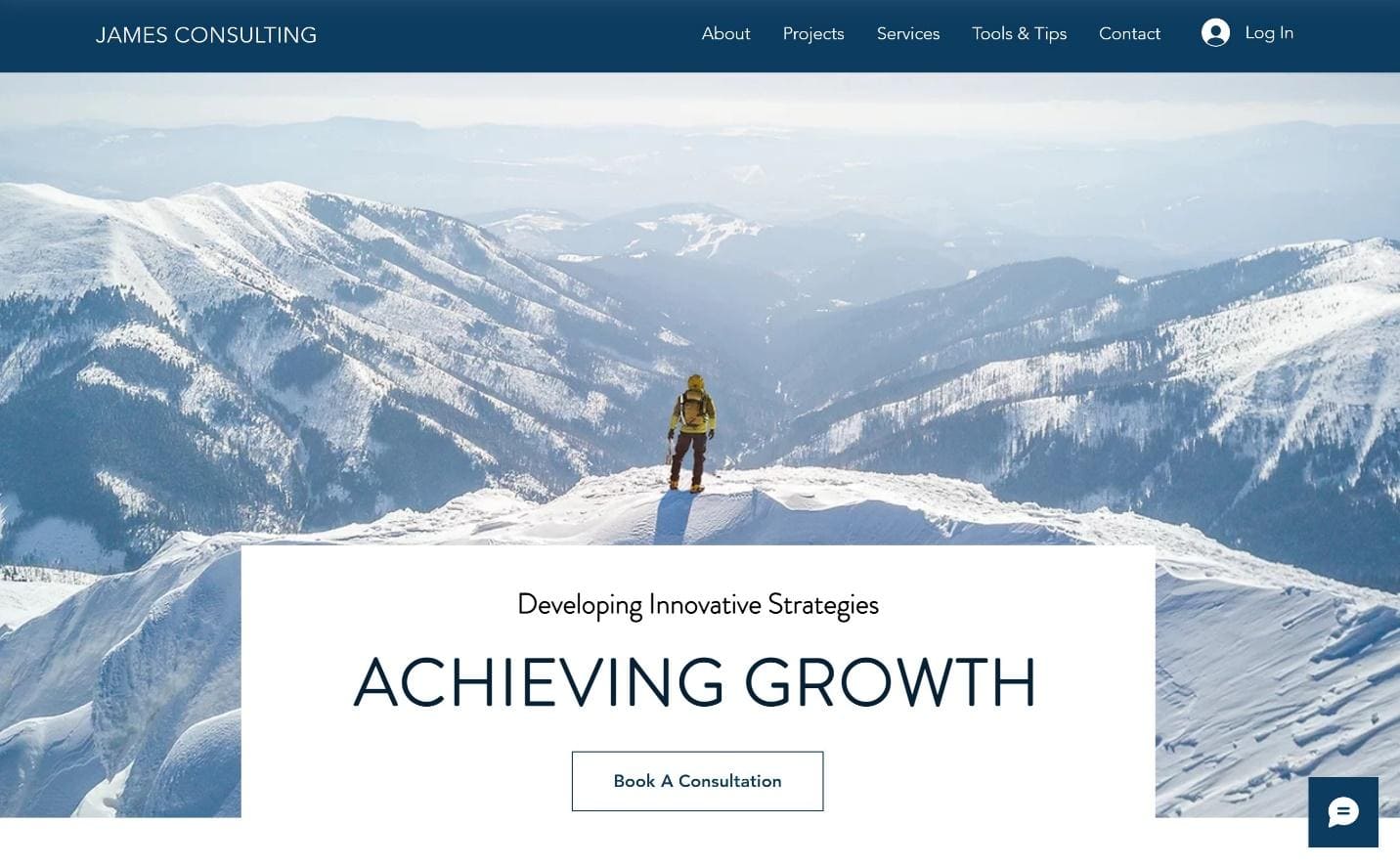 Wix Consulting Business template