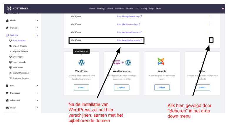 NL_How to Host a Website_3