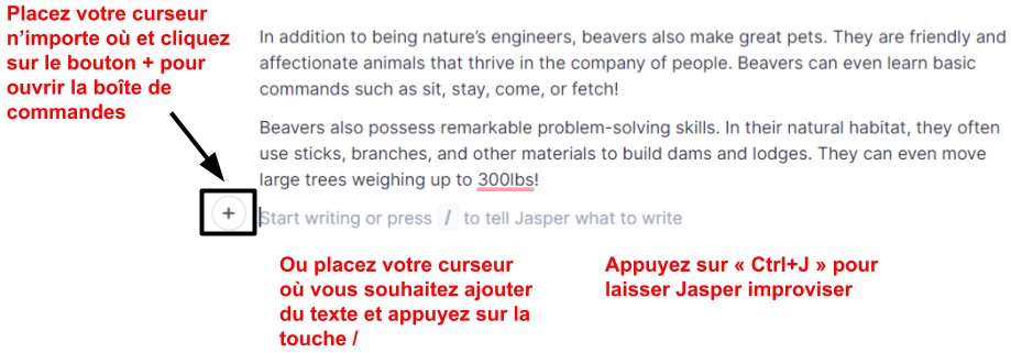 Copy of Copy of Jasper Review ___IMAGES___