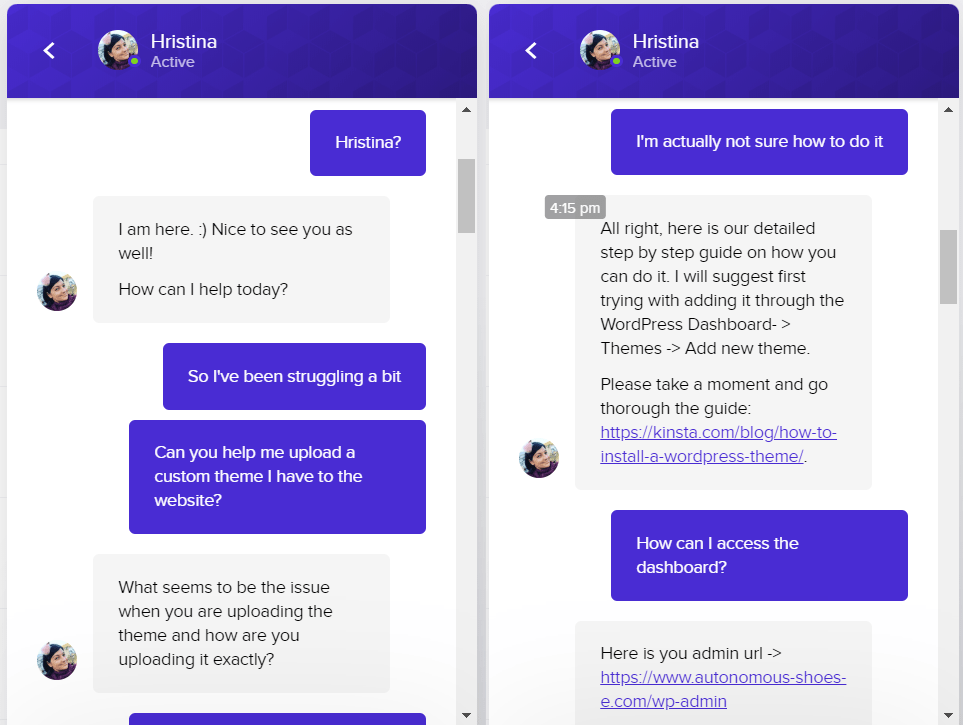 A live chat conversation with Kinsta support