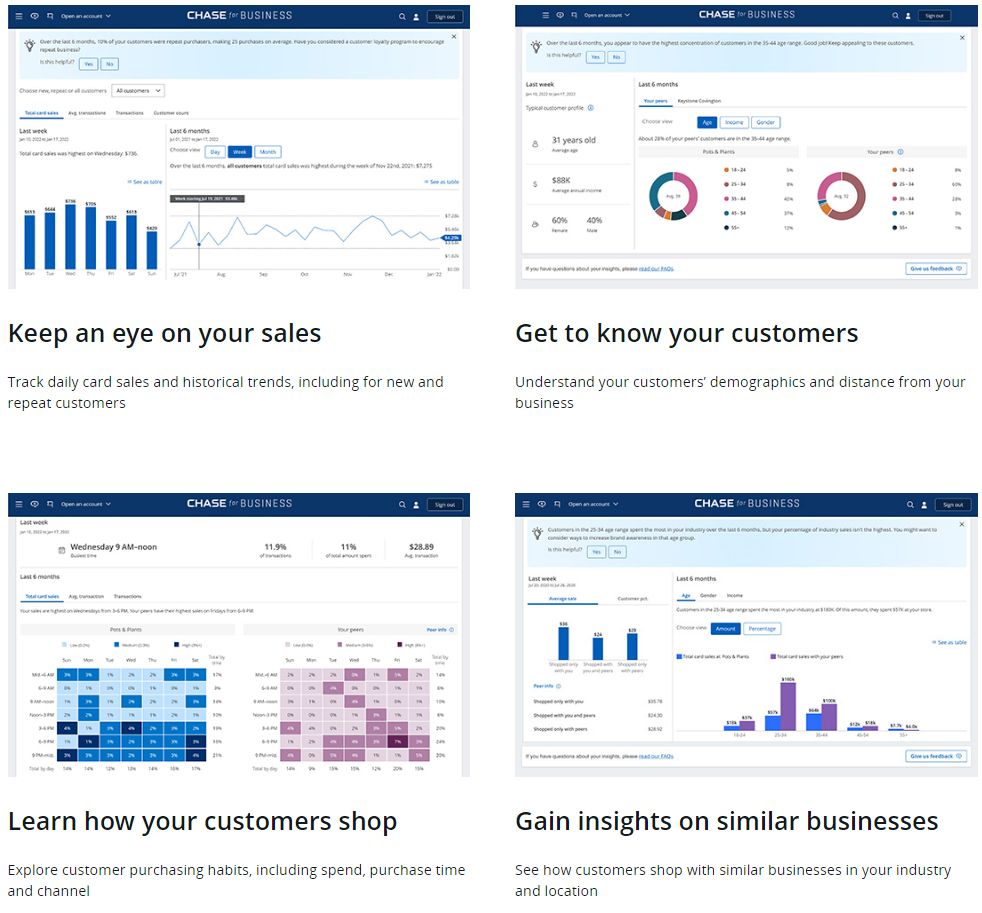 Chase Customer Insights software
