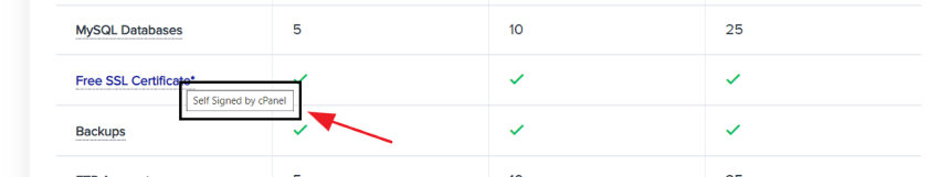 Detail of AlexHost's LiteSpeed hosting plans