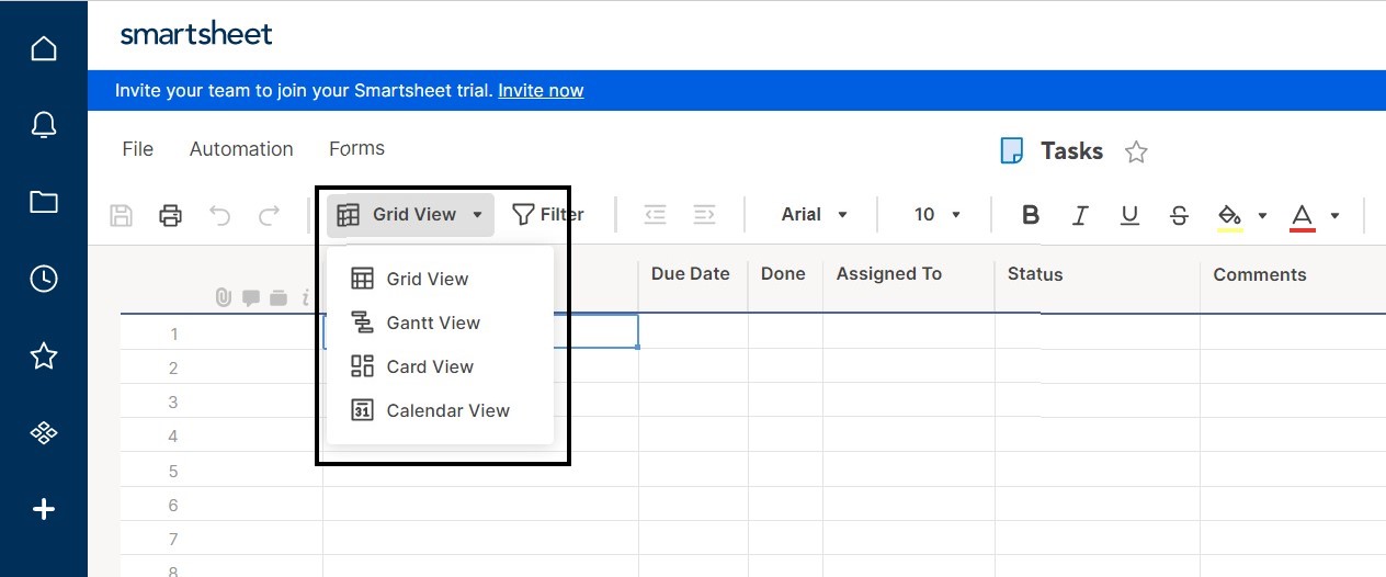 Smartsheet's Grid view options