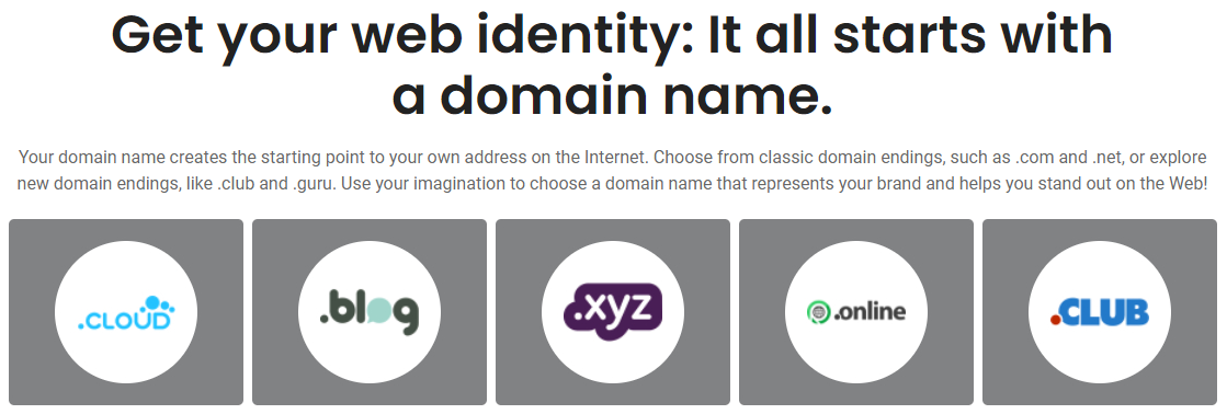 Detail from HostPapa's domain name feature section