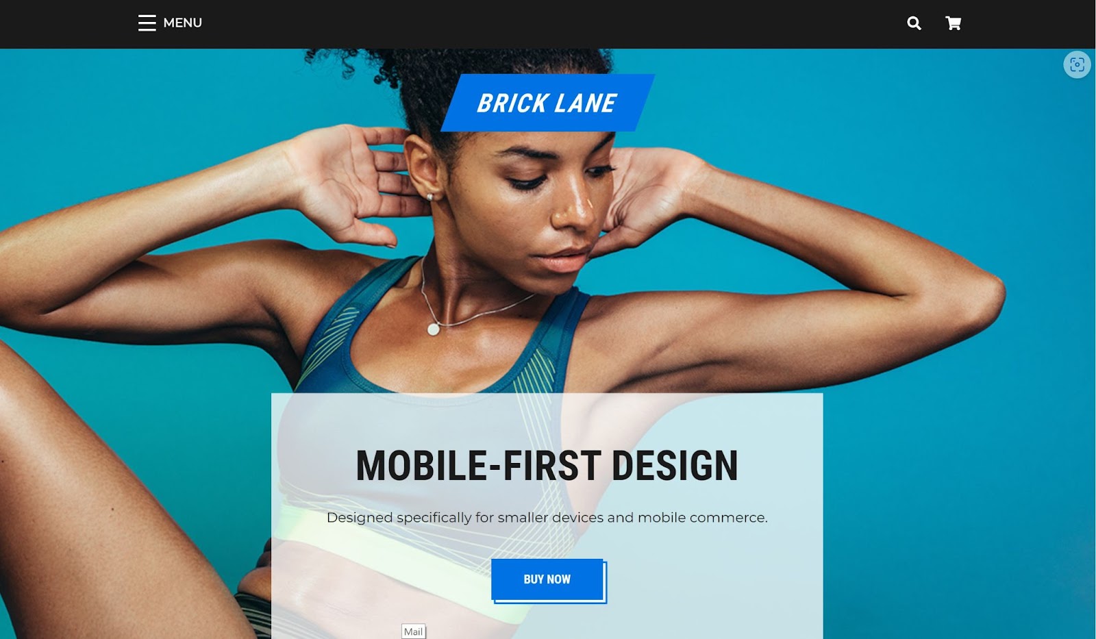 BigCommerce Brick Lane Active theme.