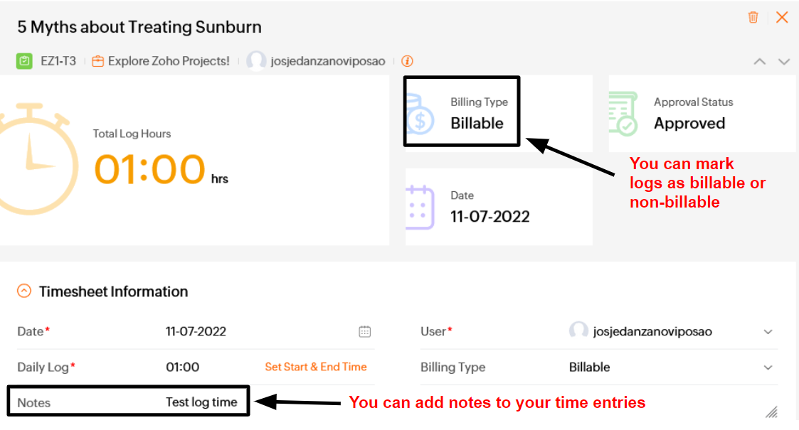 Zoho Projects Timesheet