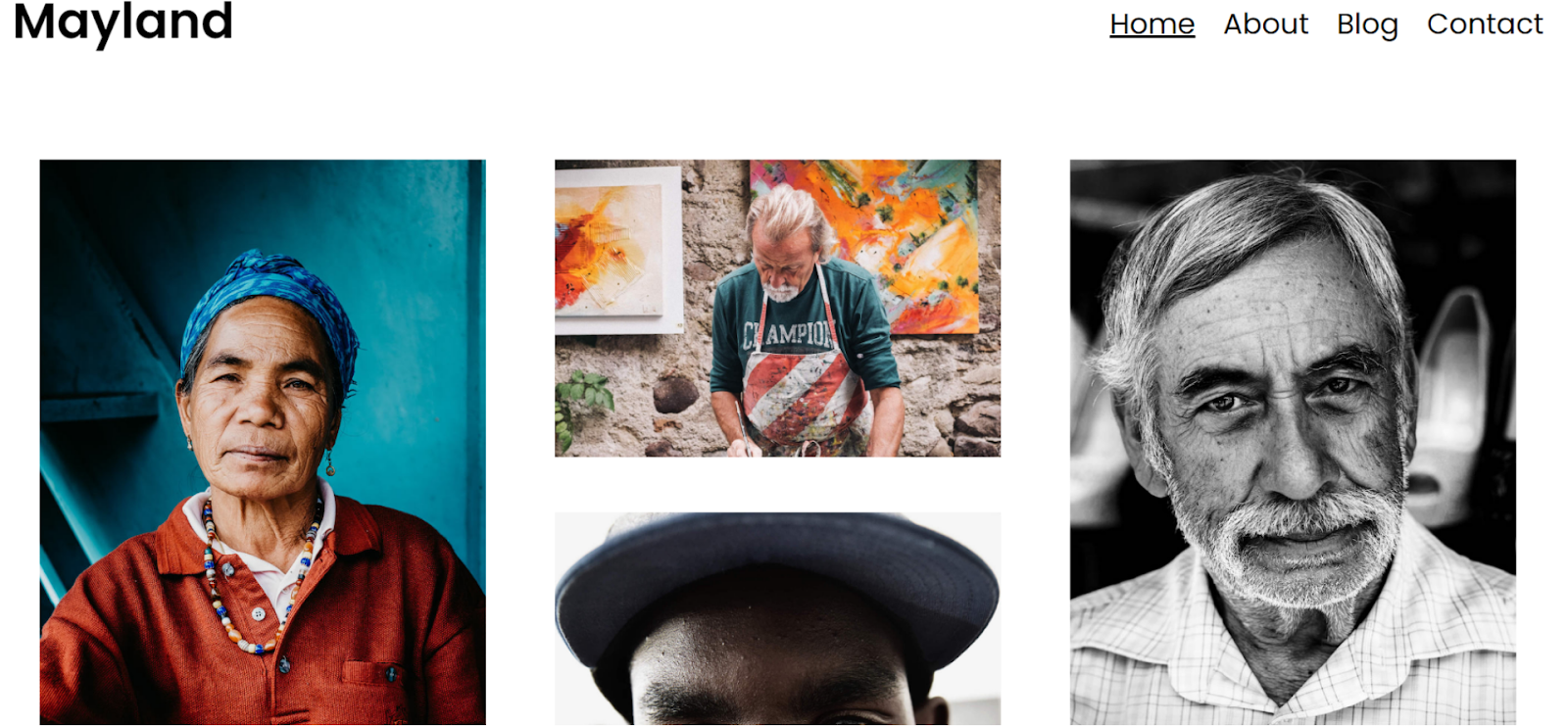 WordPress Portfolio Themes