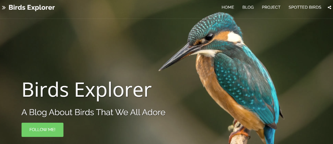 SITE123 Birds Explorer Template