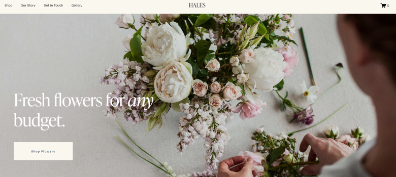 Squarespace Hales template