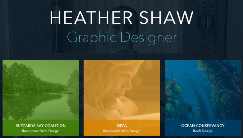 Heather Shaw Portfolio