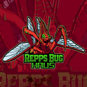 logo by Avebriant - Fantasy praying mantis logo design for Repps Bug Haus, red and green colors