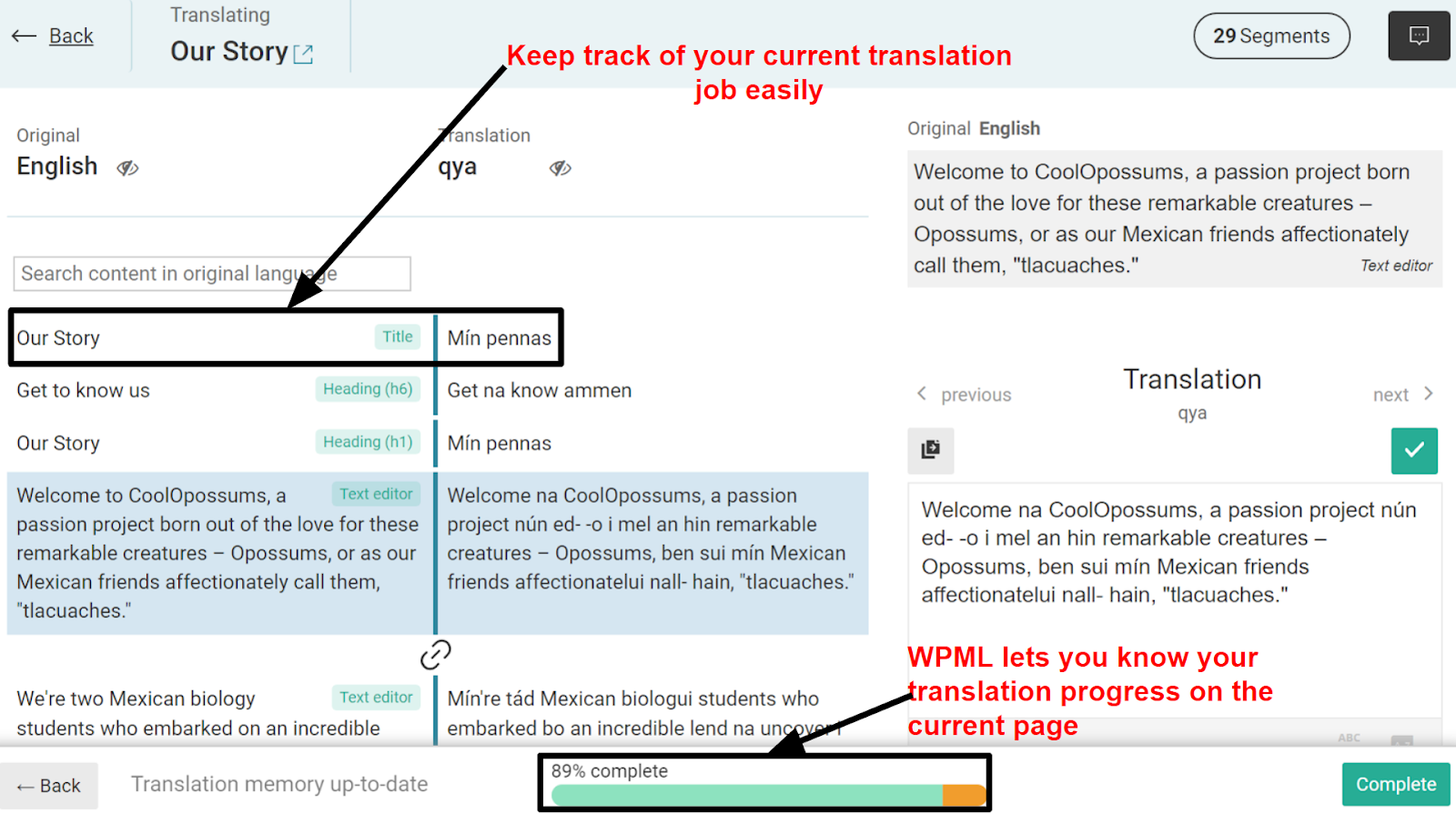 WPML manual translation