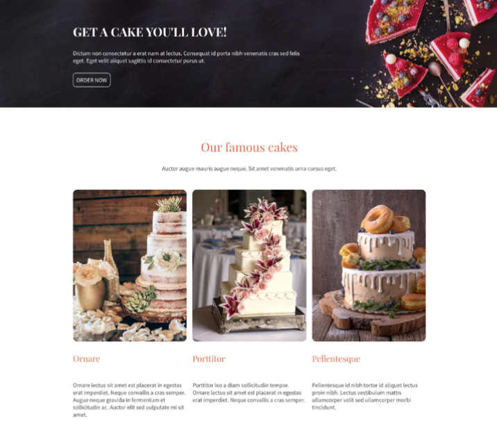 IONOS Online Store Template