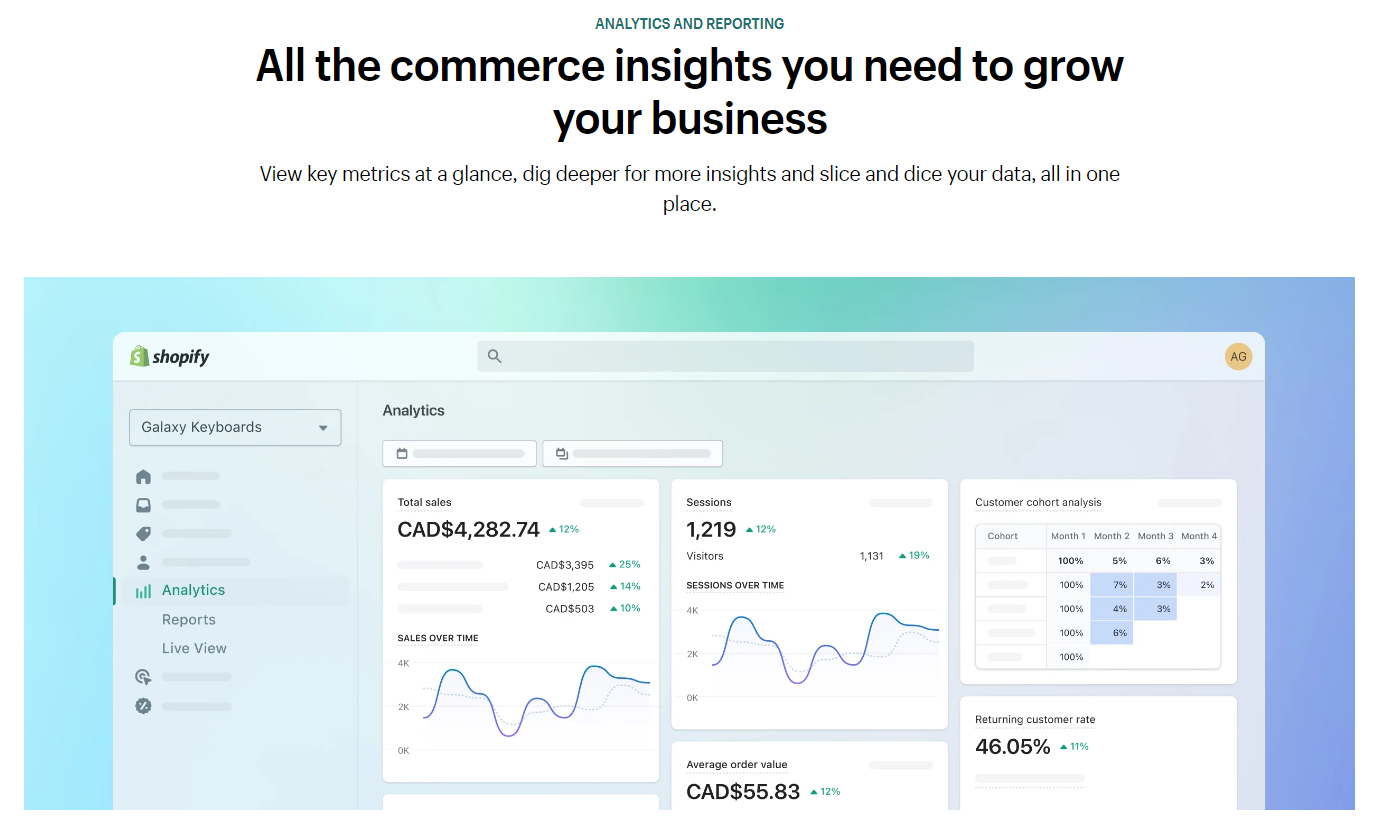 Shopify analytics and report features