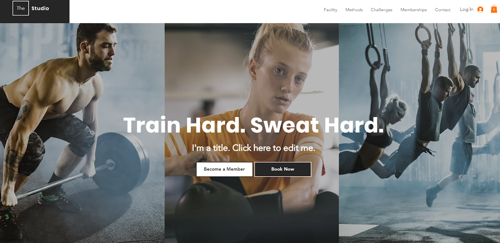 Wix Fitness Template