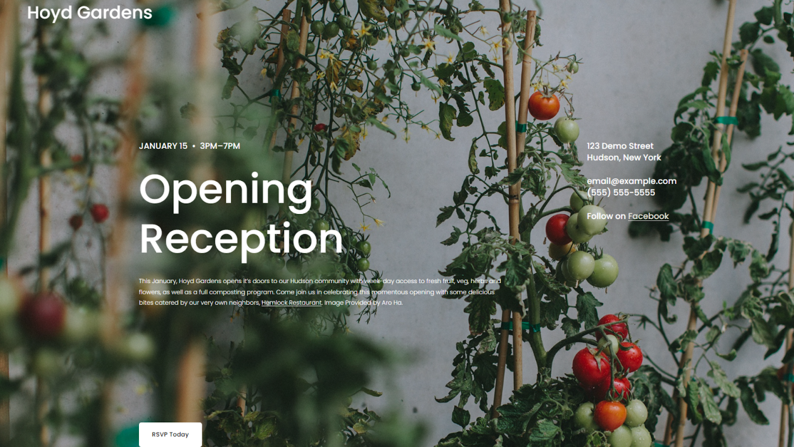The Hoyd Squarespace template homepage