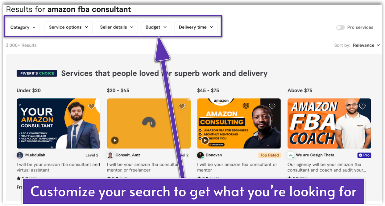 Amazon fba consultant search result page