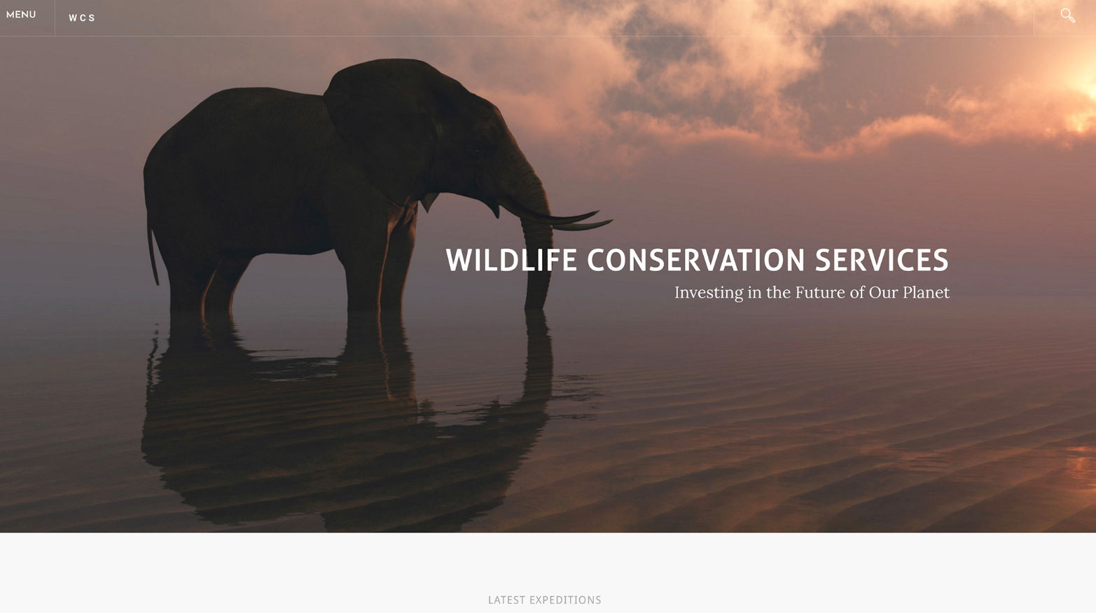 Weebly Conservation Services template