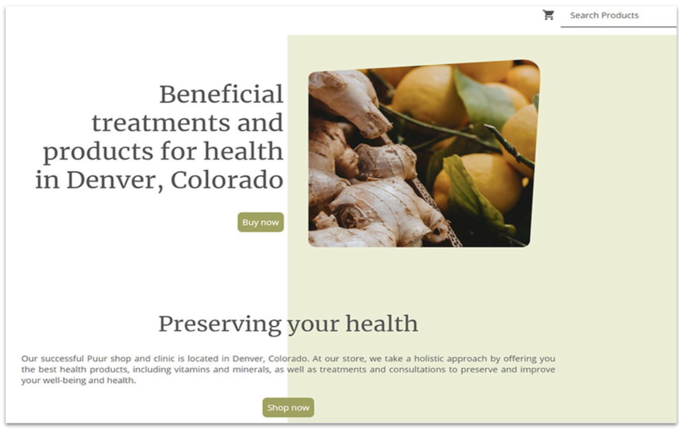 ionos Health Products template