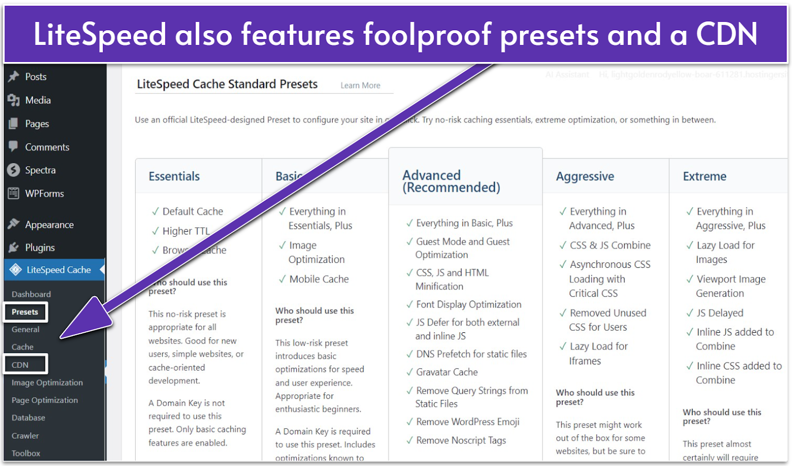 Hostinger LiteSpeed Cache tools in the custom WordPress Admin Panel