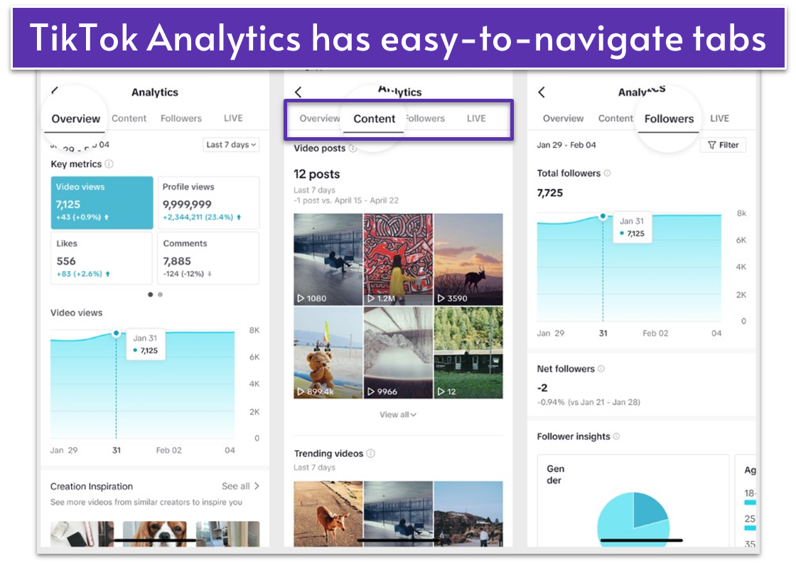 TikTok-Analytics'-Overview-Content-and-Followers-tabs