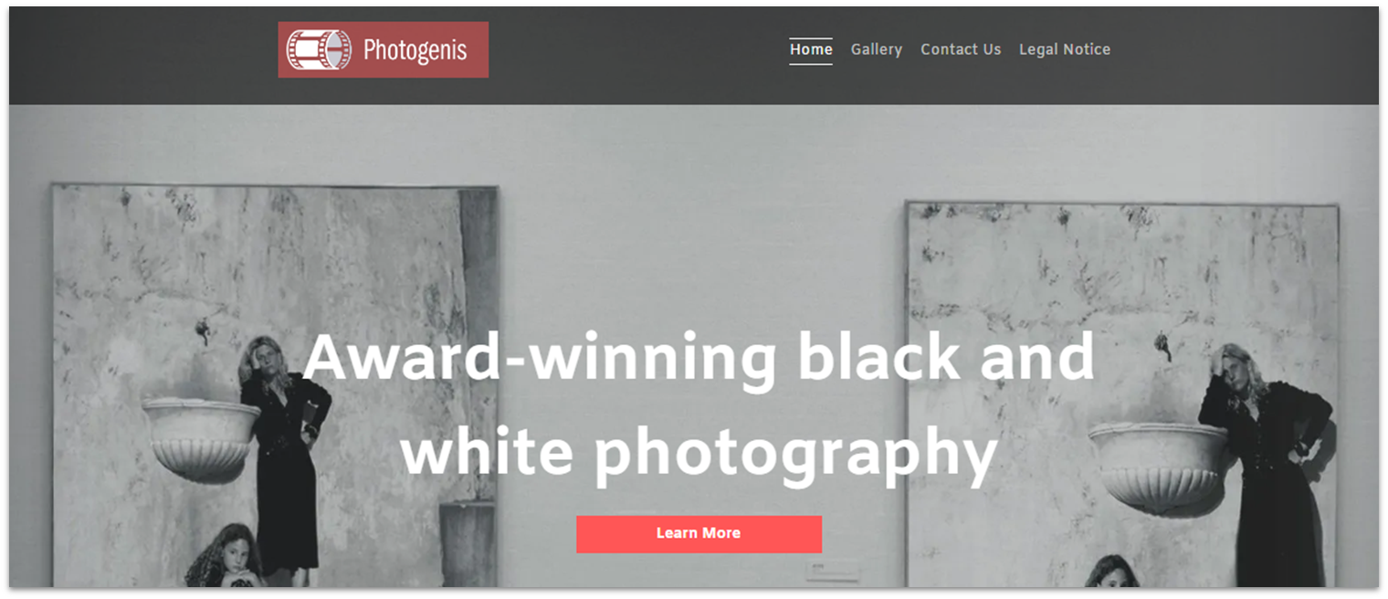 A website template from IONOS