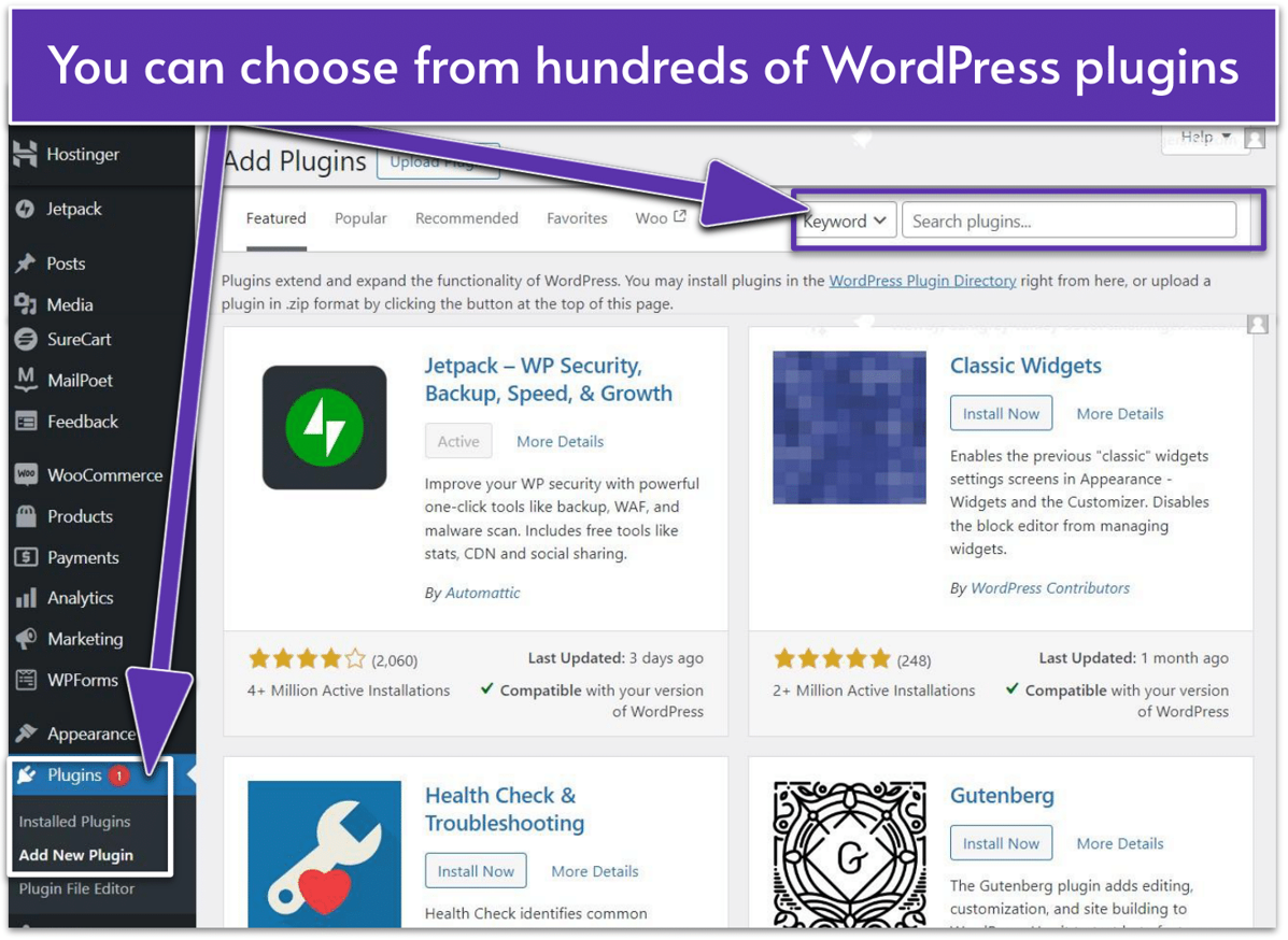 WordPress Plugins menu screen