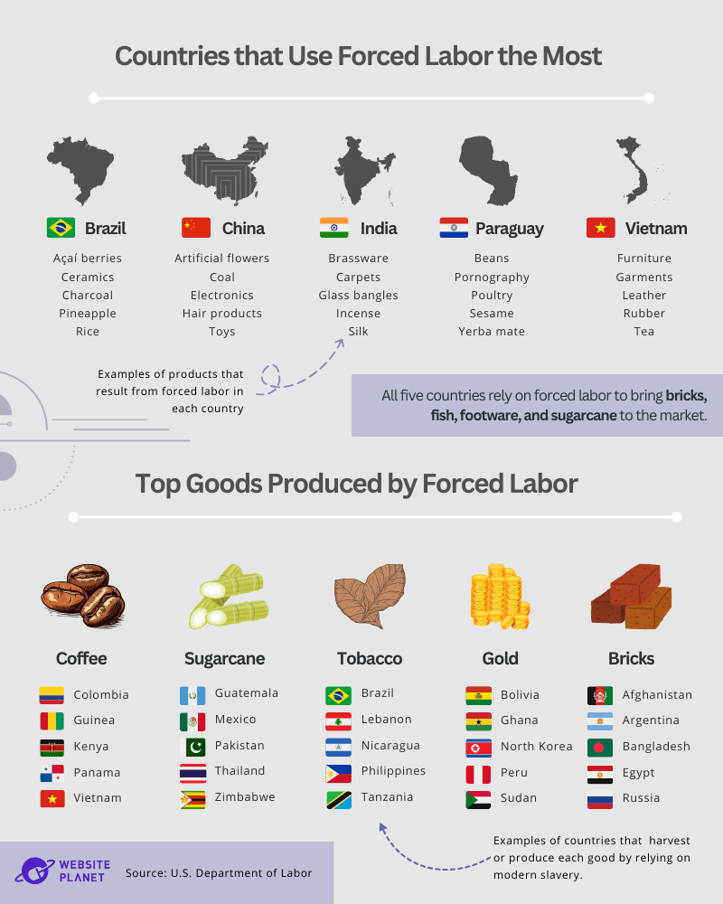 graphic showing countries using forced labor the most, and the top goods produced by forced labor