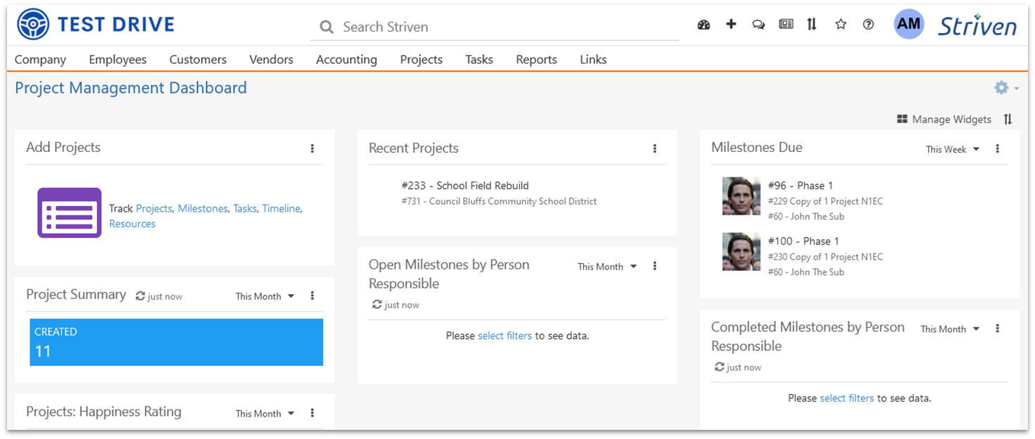 Striven Project Management Dashboard