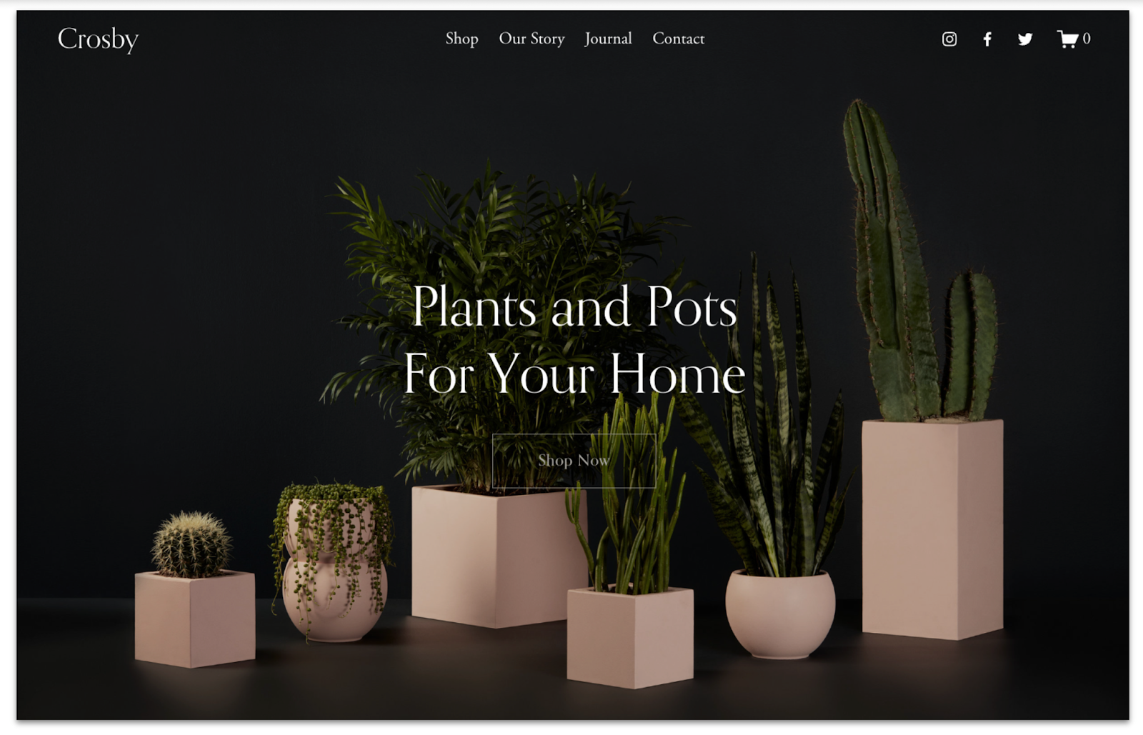 Squarespace's website template