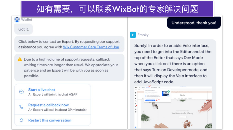 Wix live chat support