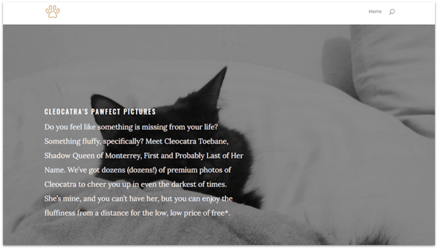 Homepage of test website