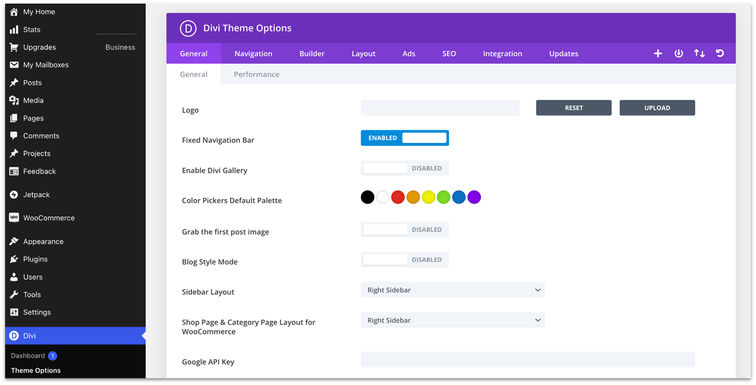 Divi's theme options