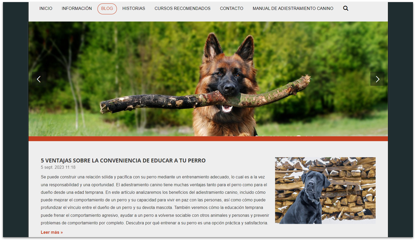 Webador blog template